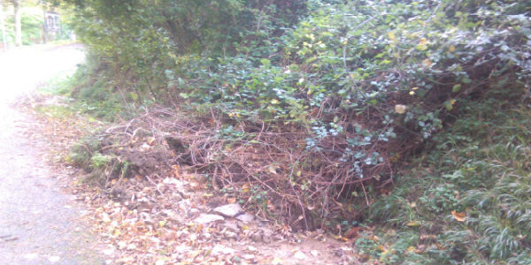 Marradi. Campigno frazione dimenticata? Denuncia di Forza Italia...