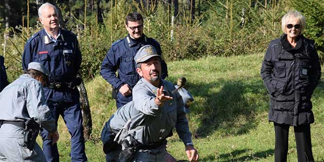 A Vallombrosa liberati 100 uccelli sequestrati a Vicchio dal Corpo Forestale