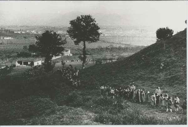 Borgo. Gli alunni e la Festa dell'Albero. Foto...