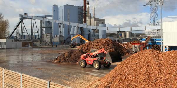 Biomasse e inceneritore. Tutte le domande (e risposte) del Comitato