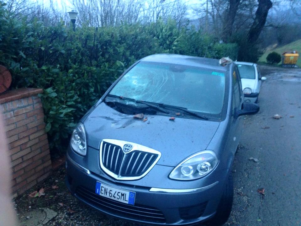 Notte di tempesta, vento e alberi caduti in tutto il Mugello