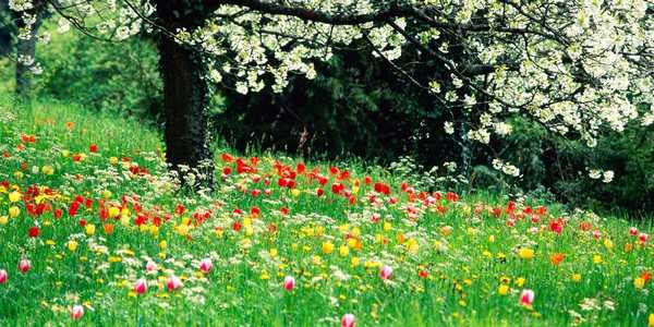 Primavera di appuntamenti in Mugello. Tutte le date da non perdere