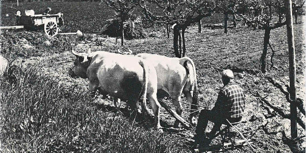 Fiera dei Poggi a San Godenzo. Appuntamento domenica 30 agosto