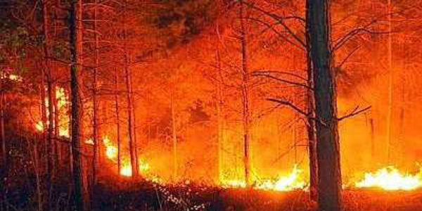 Incendi boschivi. Il punto sulla Toscana