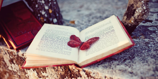 Francesca e i suoi romanzi. Da San Godenzo tanto amore per la scrittura