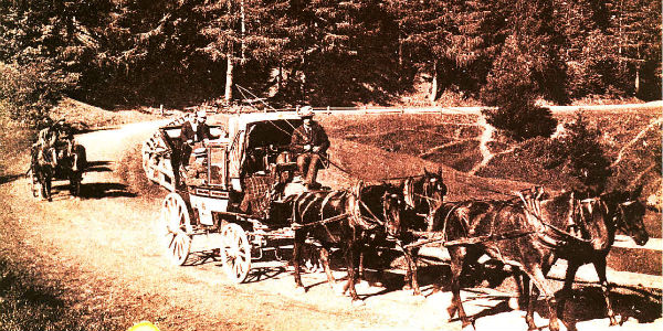 XIV Concorso RotarOlio: l'Oro verde al Castello di Villanova