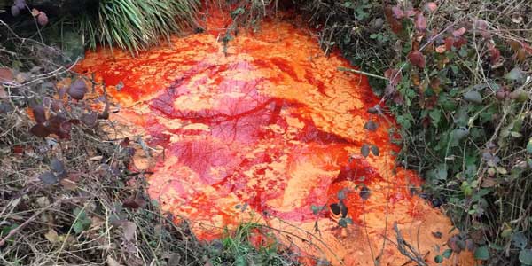 Sversamento di liquido oleoso a Petrona