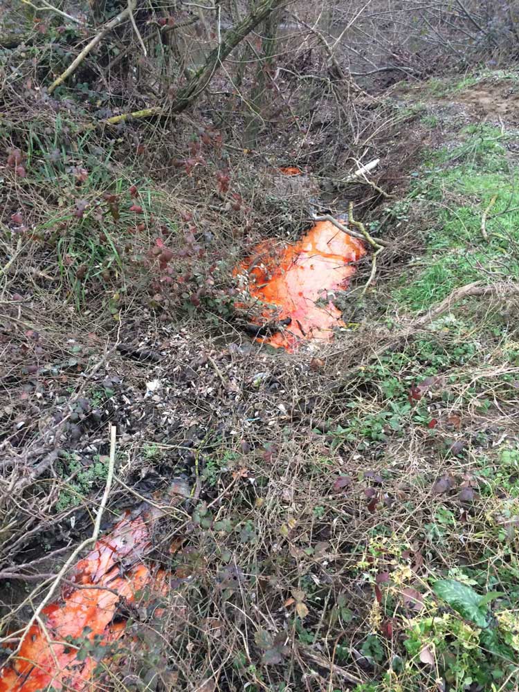 Sversamento di liquido oleoso a Petrona