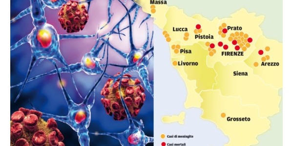 Meningite. Il punto in Toscana. 22 casi da inizio anno