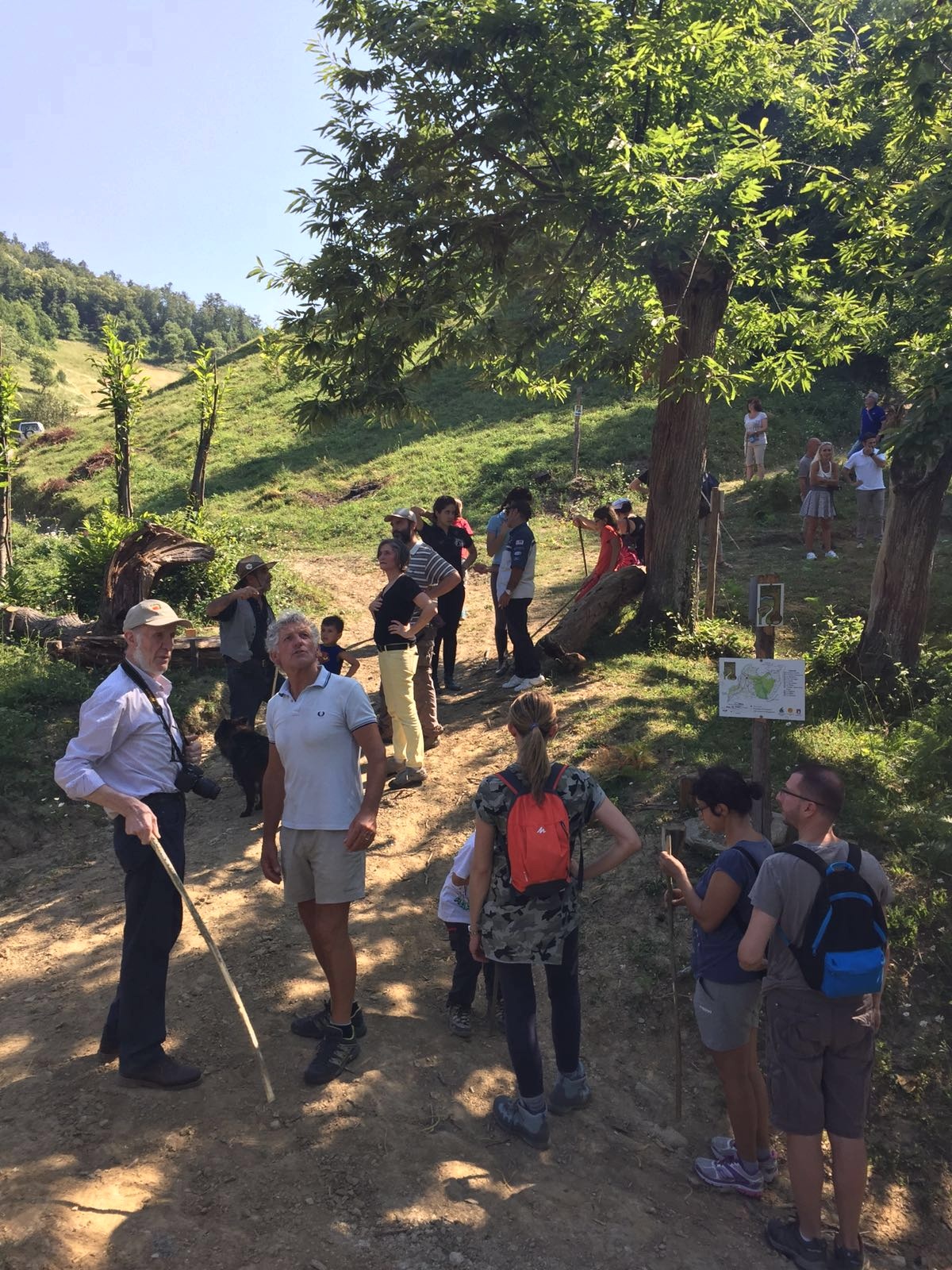 sentieronelcastagneto