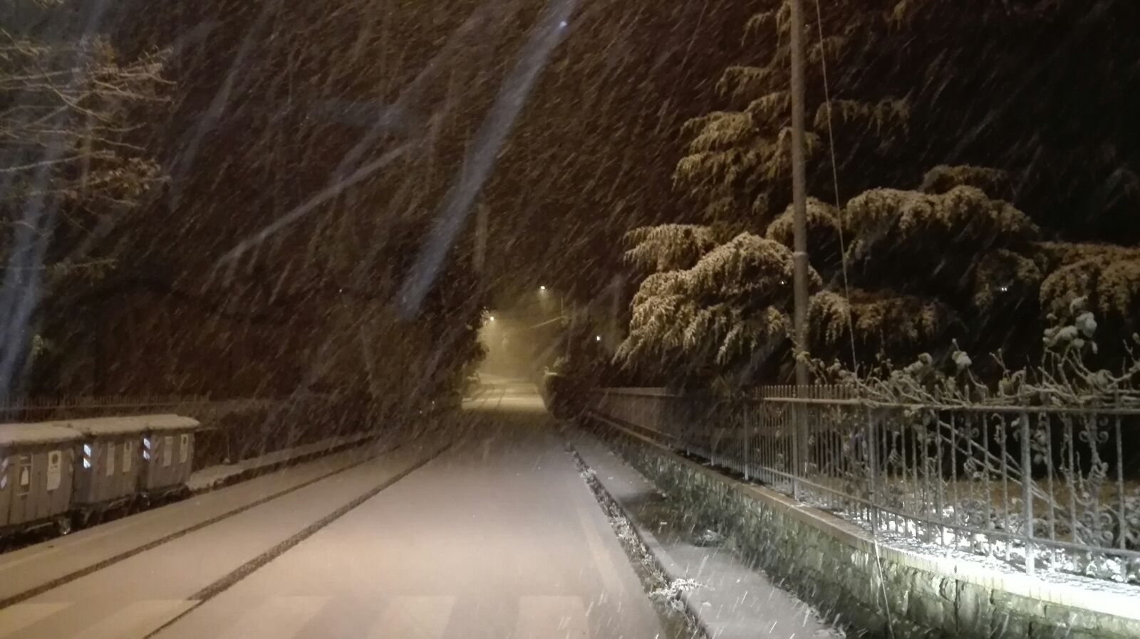 neve-2016-agresti-4