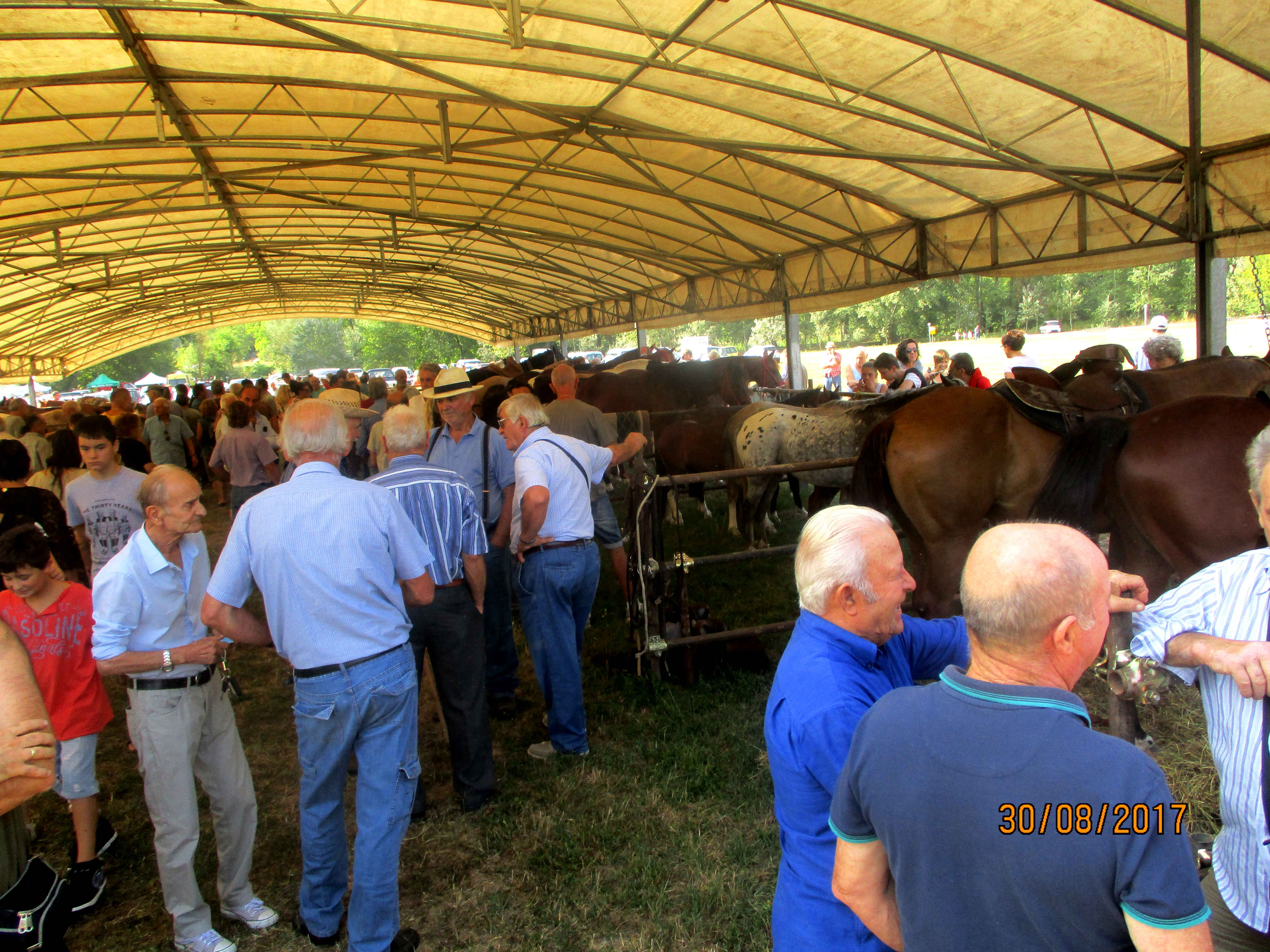FOTO 1 Fiera Calda 2017