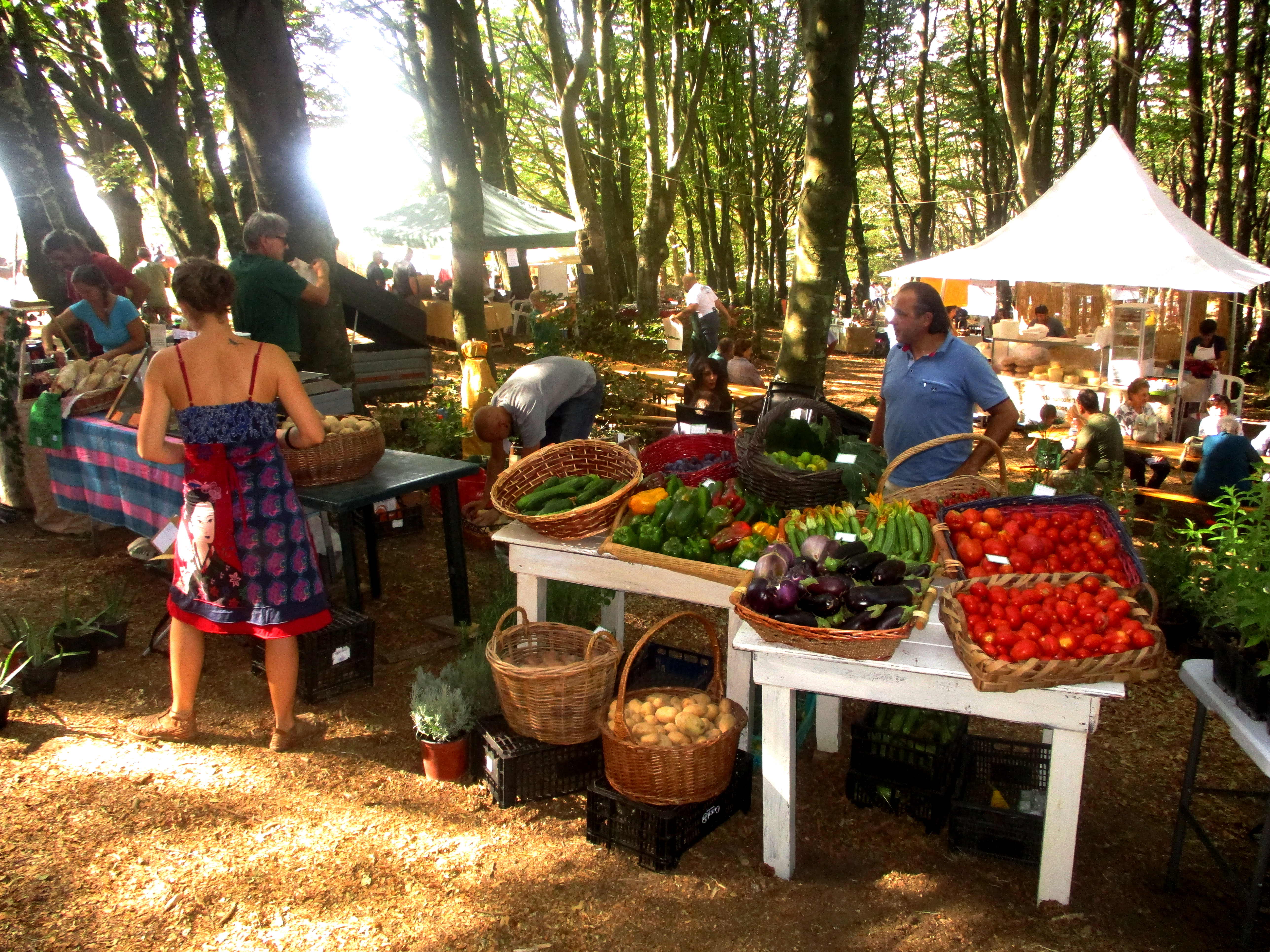 FOTO 3 Fiera Calda 2017