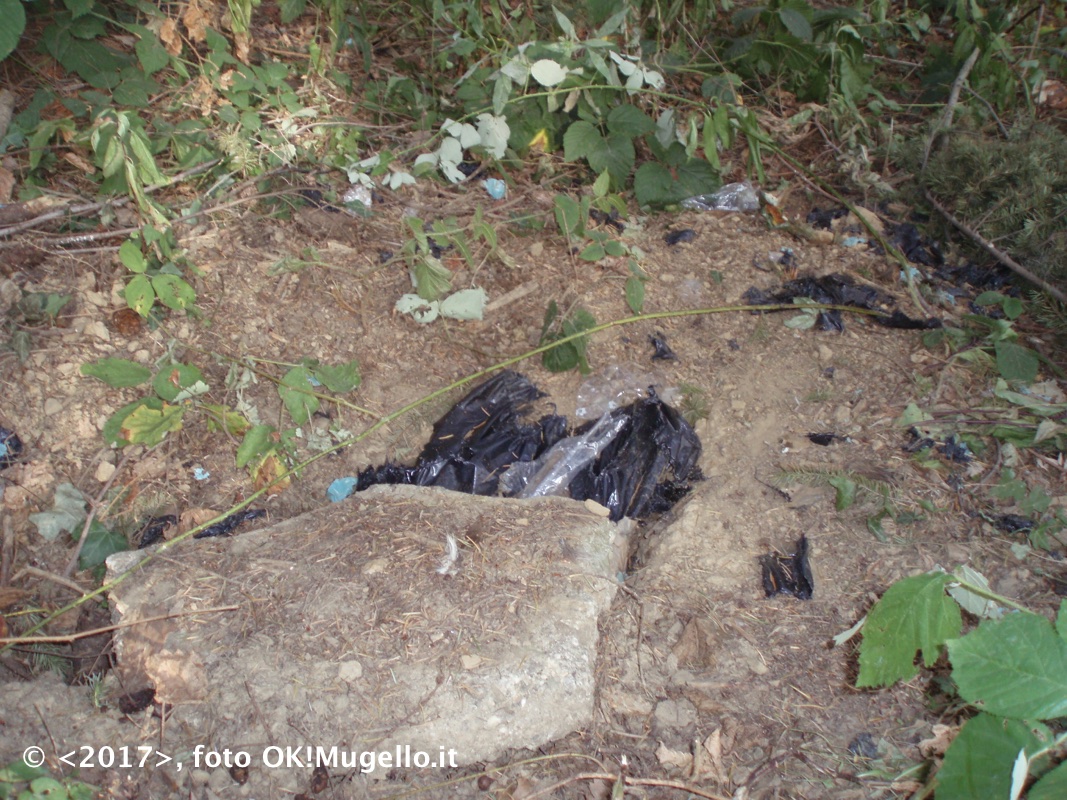 montesenario-degrado_1