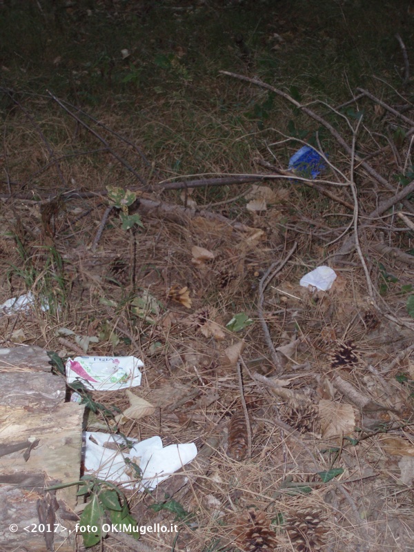 montesenario-degrado_3