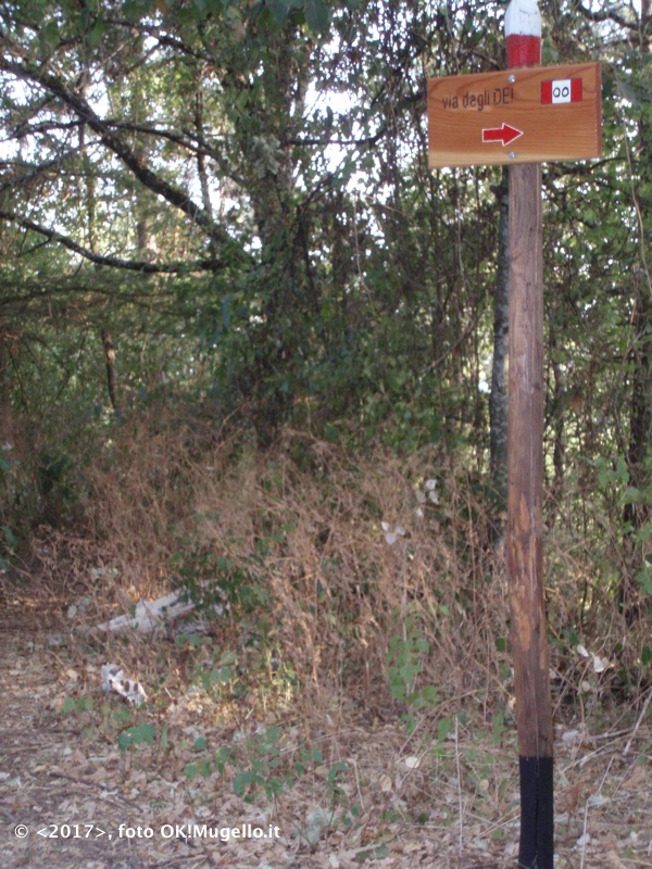 montesenario-degrado_8