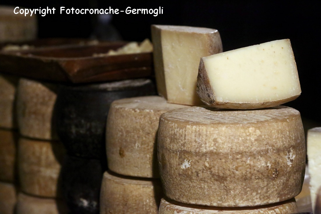 Aziende agricole e caseifici. Controlli a tappeto in tutta la provincia di Firenze. Cosa hanno trovato