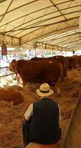 Fiera Agricola Mugellana. Bilancio dell'edizione 2018