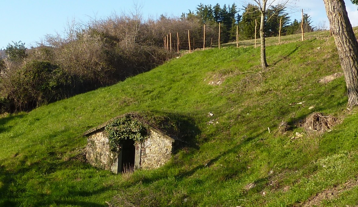 Dai bambini Saharawi all'itinerario delle Burraie. Weekend ricco tra Bivigliano e Montesenario