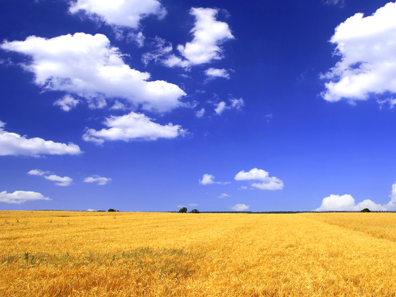Giorno & Notte. Tutto il fine settimana in Mugello dal 13 al 15 settembre
