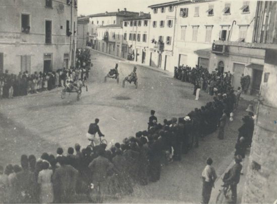 Foto 6 corse_cavalli