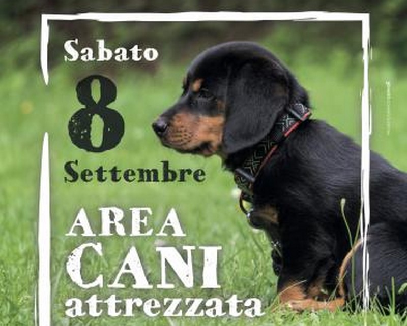 Sabato si inaugura l'area cani a Contea