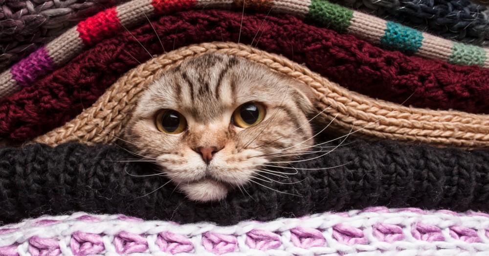 L'estate è finita. Temperature in picchiata e allerta per vento