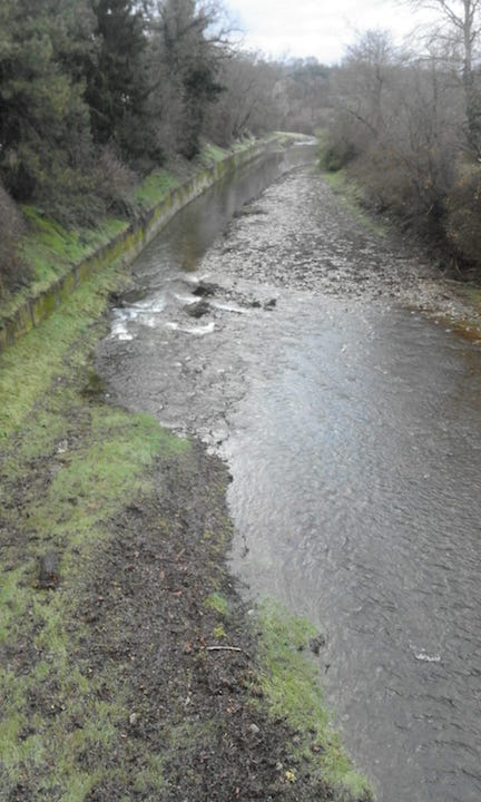 Babbo Natale, per favore riportaci l'acqua in Carza!. Lettera ironica di una lettrice