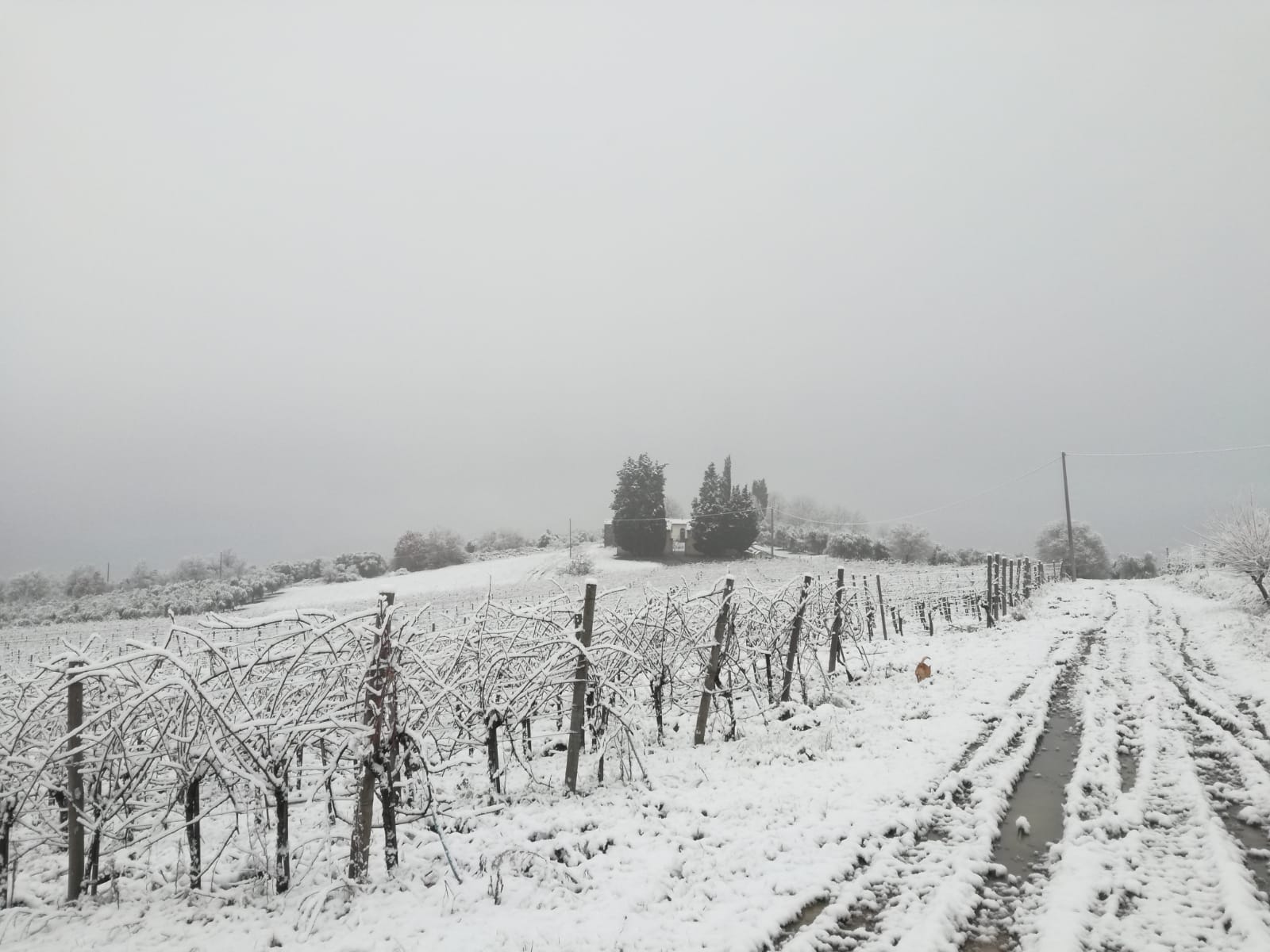 Neve a Torri 3