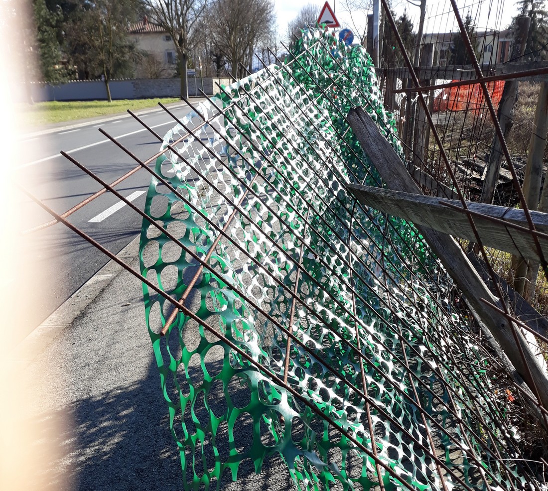 Lettori reporter. Quella rete pericolosa a Borgo