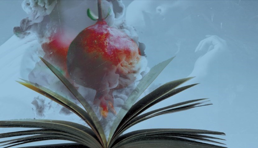 Succo di melograno due nuove presentazioni nella provincia bolognese