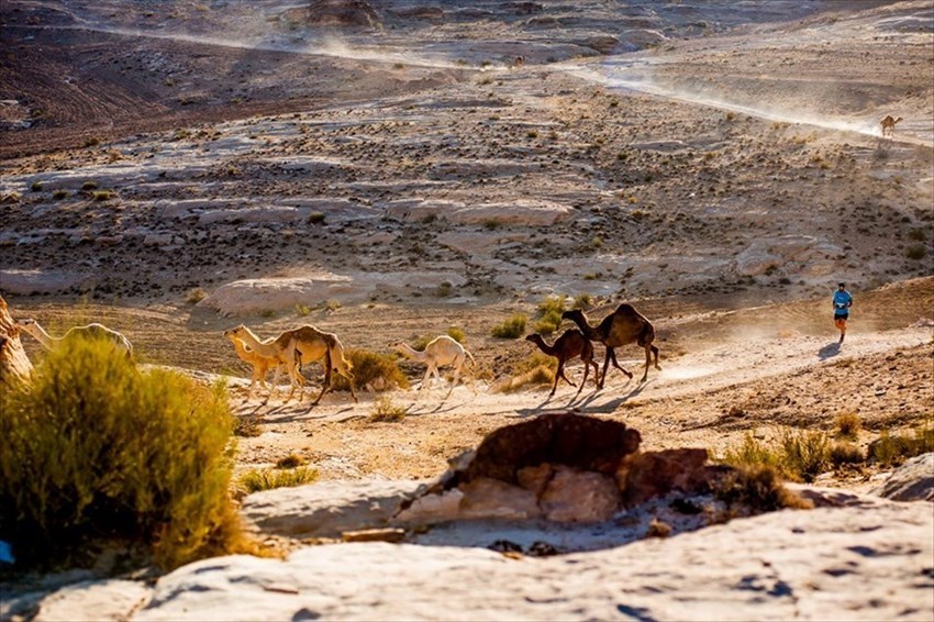 Immagini del percorso della maratona