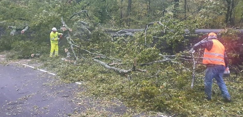 Via della Lupaia Pratolino