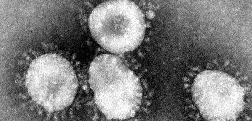 Coronavirus