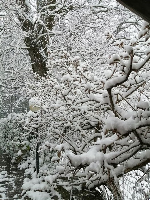 Neve a Santa Brigida (Pontassieve)