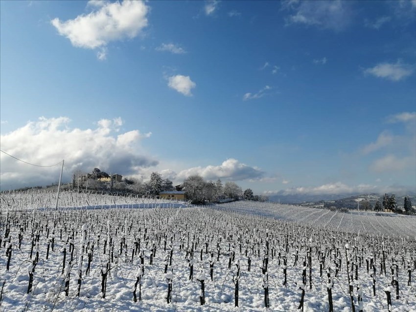 Neve a Torri (Rignano sull'Arno)