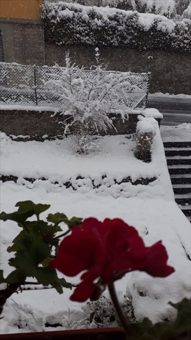 Neve a San Godenzo via forlivese e via Falerona