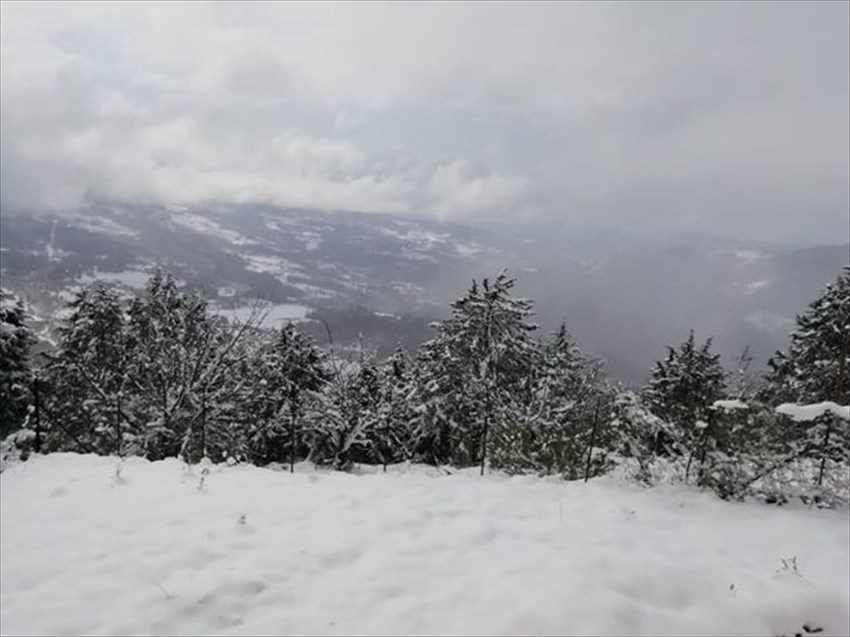 Neve all'agriturismo Fattoria di Cintoia sopra Colognole (Pontassieve)