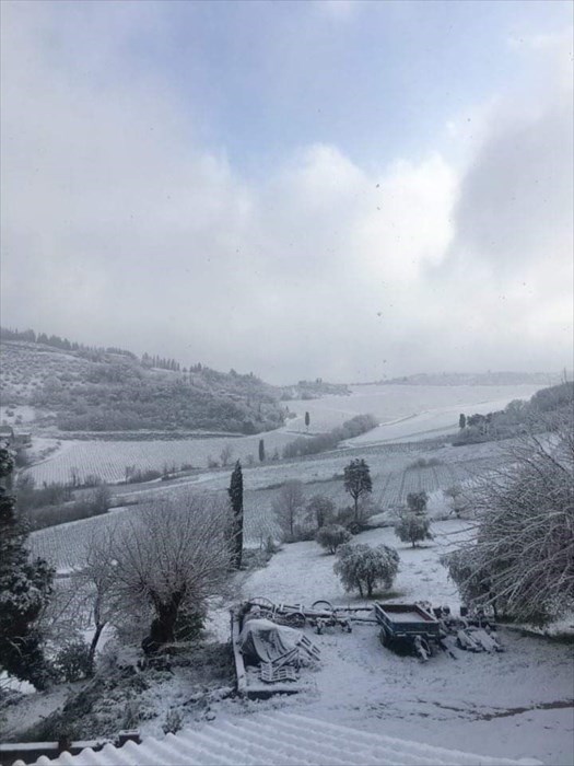 Neve a Nipozzano (Pelago)