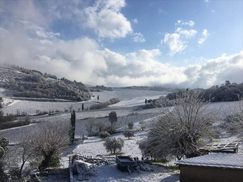 Neve a Nipozzano (Pelago)