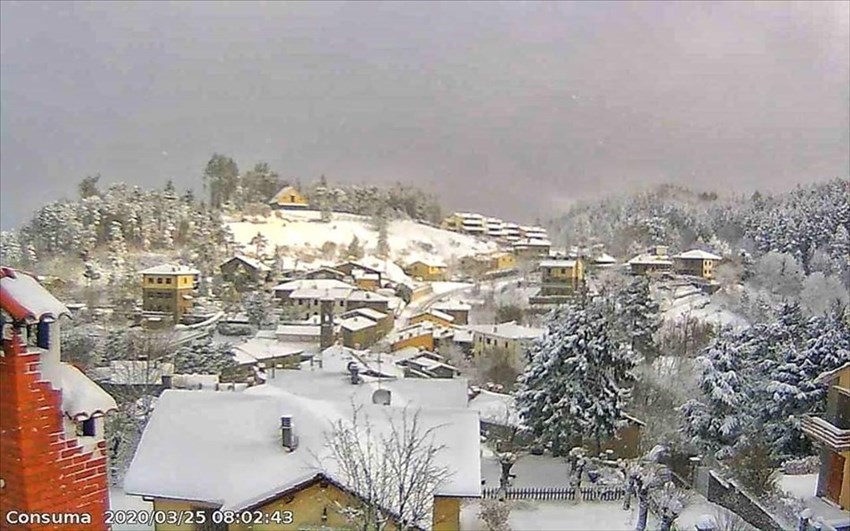 Neve al Passo della Consuma (Pelago)