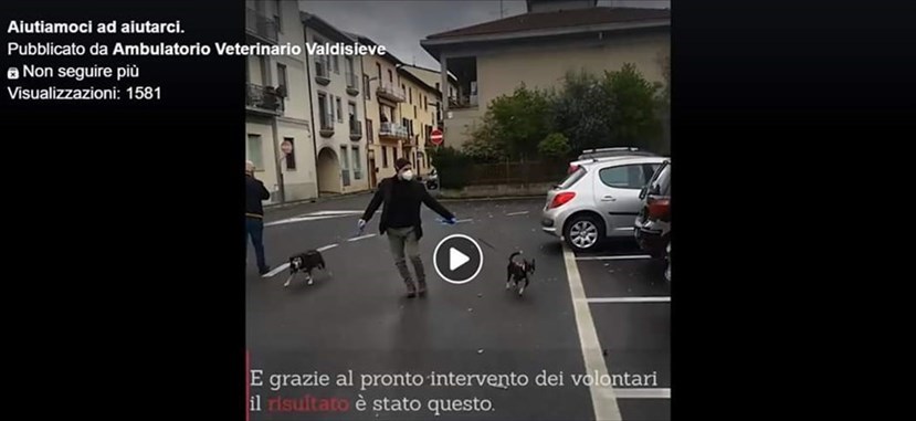 Volontario di Rufina a spasso con i cani di una persona in quarantena