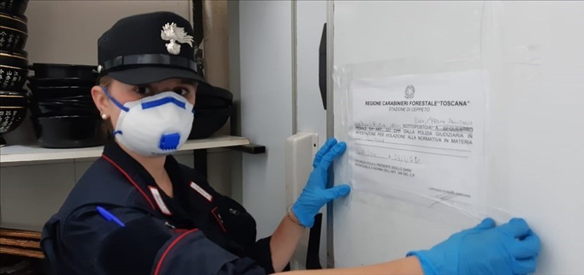 Cibo scaduto e conservato in mezzo alle blatte. Igiene zero e clandestini a lavoro, chiuso ristorante