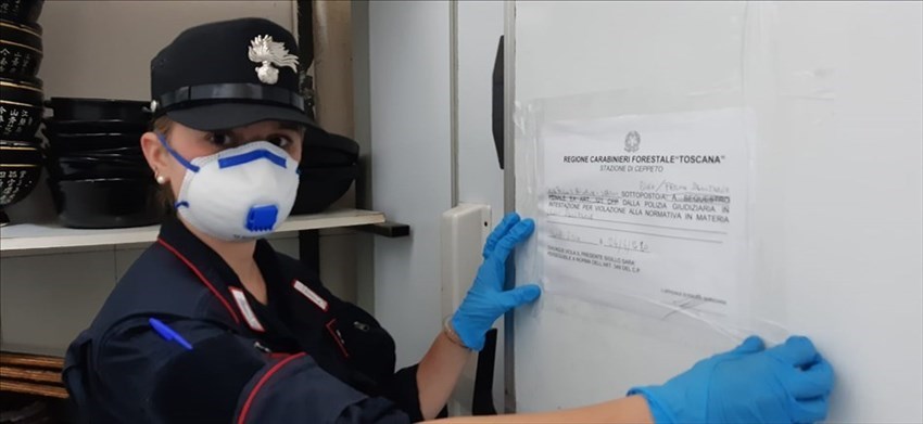 Cibo scaduto e conservato in mezzo alle blatte. Igiene zero e clandestini a lavoro,chiuso ristorante