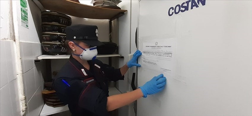 Cibo scaduto e conservato in mezzo alle blatte. Igiene zero e clandestini a lavoro,chiuso ristorante