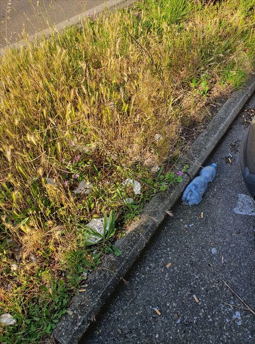 Il degrado di viale Guidoni