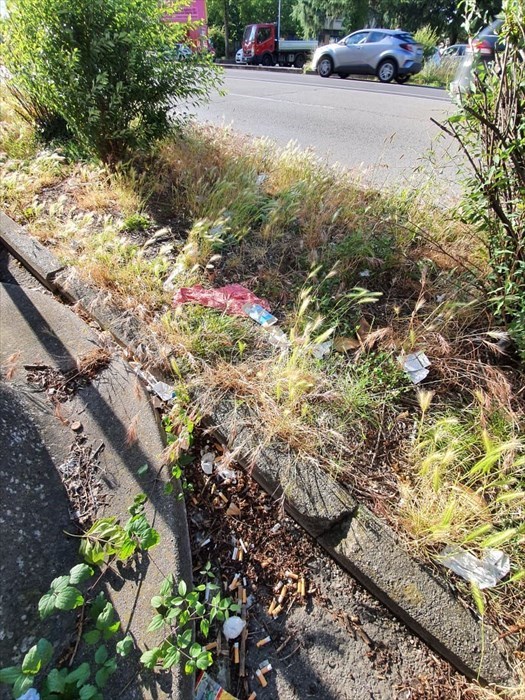 Il degrado di viale Guidoni