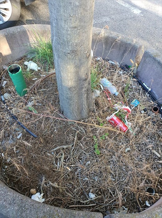 Il degrado di viale Guidoni