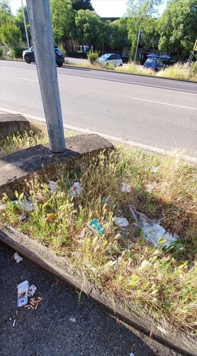 Il degrado di viale Guidoni