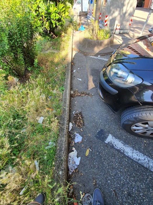 Il degrado di viale Guidoni